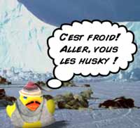 Monsieur Le Canard goes to the North Pole